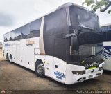 Expresos Mrida 2025, por Sebastin Mercado