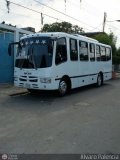 Transporte y Servicios Guanipa