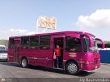 A.C. de Transporte Sol de Tamanaco 31 por Aly Baranauskas