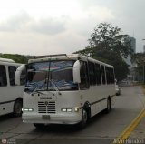 Asociacin Cooperativa R.S. Ezequiel Zamora 60