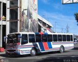 Expresos Pegamar 0014