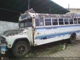 TA - Autobuses de Tariba 11, por Jerson Nova