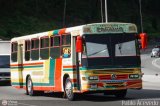 Cooperativa Canaima 50