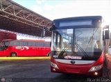 Sistema Integral de Transporte Superficial S.A 6826, por Ricardo Ugas