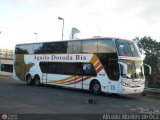 Aguila Dorada Bis 073, por Alfredo Montes de Oca