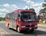 Caribe Express C.A. 3023, por Miguel Pino