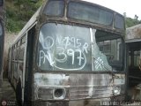 En Chiveras Abandonados Recuperacin ND, por Edgardo Gonzlez