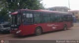 Bus Gurico 02, por Manuel Moreno M