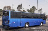 Particular 775