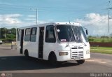 Transporte Ulpra A.C.