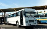 L�nea Tilca - Transporte Inter-Larense C.A. 019 por Maikelvis Monroy