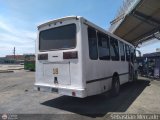 ZU - Colectivos Concepcin 018