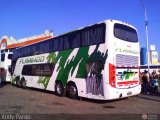 Expresos Flamingo 0097
