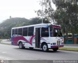Lnea Tocar S.C. 19