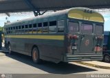 ZU - Colectivos Concepcin 104, por El Niobuses