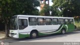 A.C. de Transporte Encarnaci�n 302, por Jesus Valero