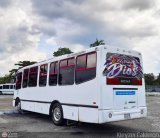S.C. Lnea Transporte Expresos Del Chama 110, por Kleyzer Caldern