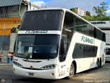 Expresos Flamingo 0088 por Josu� S�nchez
