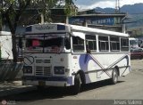 MI - A.C. Lnea La Rosa de Guatire 43