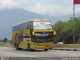 Expresos Los Llanos 168