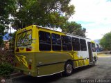 Lnea Los Andes S.C. 036, por Kleyzer Caldern
