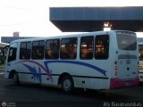 Unin Victoria 15, por Aly Baranauskas
