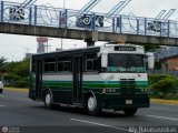 Particular 09