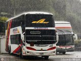 Aerorutas de Venezuela 0510