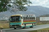 Cooperativa Canaima 40, por Pablo Acevedo