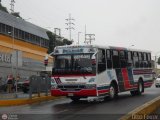 Expresos Pegamar 0014