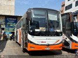 Corporaci�n V�a Unoo S.A.C. (Per�) 443