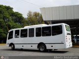 Colectivo Los Andes (Mrida - El Vigia)