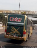 Cetur S.R.L. 954, por Leonardo Saturno