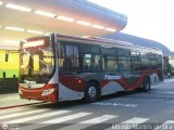 Metrobus Caracas 1206, por Alfredo Montes de Oca