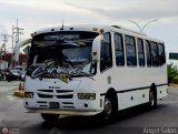 Colectivos El Vig�a 16