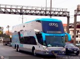 Abba Bus
