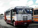 S.C. Lnea Qubor 40