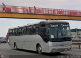 Particular 957