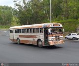 Colectivos Altagracia 08