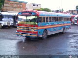 Colectivos Transporte Maracay C.A.