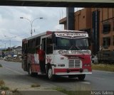 A.C. de Transporte La Raiza 130