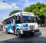 Sin identificacin o Desconocido 33