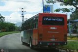 Expresos Delicias 37