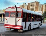 Transporte Palo Negro La Morita 2 047, por Kimberly Guerrero