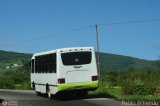 A.C. Fuerza Venezolana R.L.