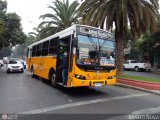 Micros Amarillas 186, por Jerson Nova