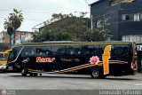 Transporte Flores Hermanos S.R.L (Per) 246, por Leonardo Saturno