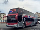 Expresos Pegamar 1308