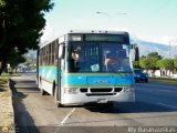 CA - Alcalda de San Diego 00, por Aly Baranauskas