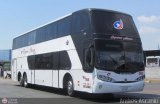 Expresos Alianza 005